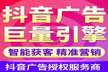 XX行业竞价广告的投放策略与效果分析